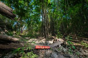 BIB: 
                            <button type="button" onclick="openModal(19387706)" class="btn btn-primary btn-sm float-right btn-popup" data-toggle="modal" data-target=".modal-high-quality">
                        <i class="fas fa-shopping-cart"></i> Add to Cart
                    </button>
                                            <button type="button" onclick="isThisMe(19387706, true)" class="btn btn-success btn-sm float-right btn-popup btn-isme hidden" data-toggle="tooltip" data-placement="bottom" title="นี่คือรูปของคุณใช่ไหม คลิกที่นี่เพื่อเอาเข้าอัลบั้ม">
                        <i class="fas fa-plus"></i> Add to album
                    </button>
                    <button type="button" onclick="isThisMe(19387706, false)" class="btn btn-warning btn-sm float-right btn-popup btn-isnotme hidden">
                        <i class="fas fa-ban"></i> Remove from album
                    </button>